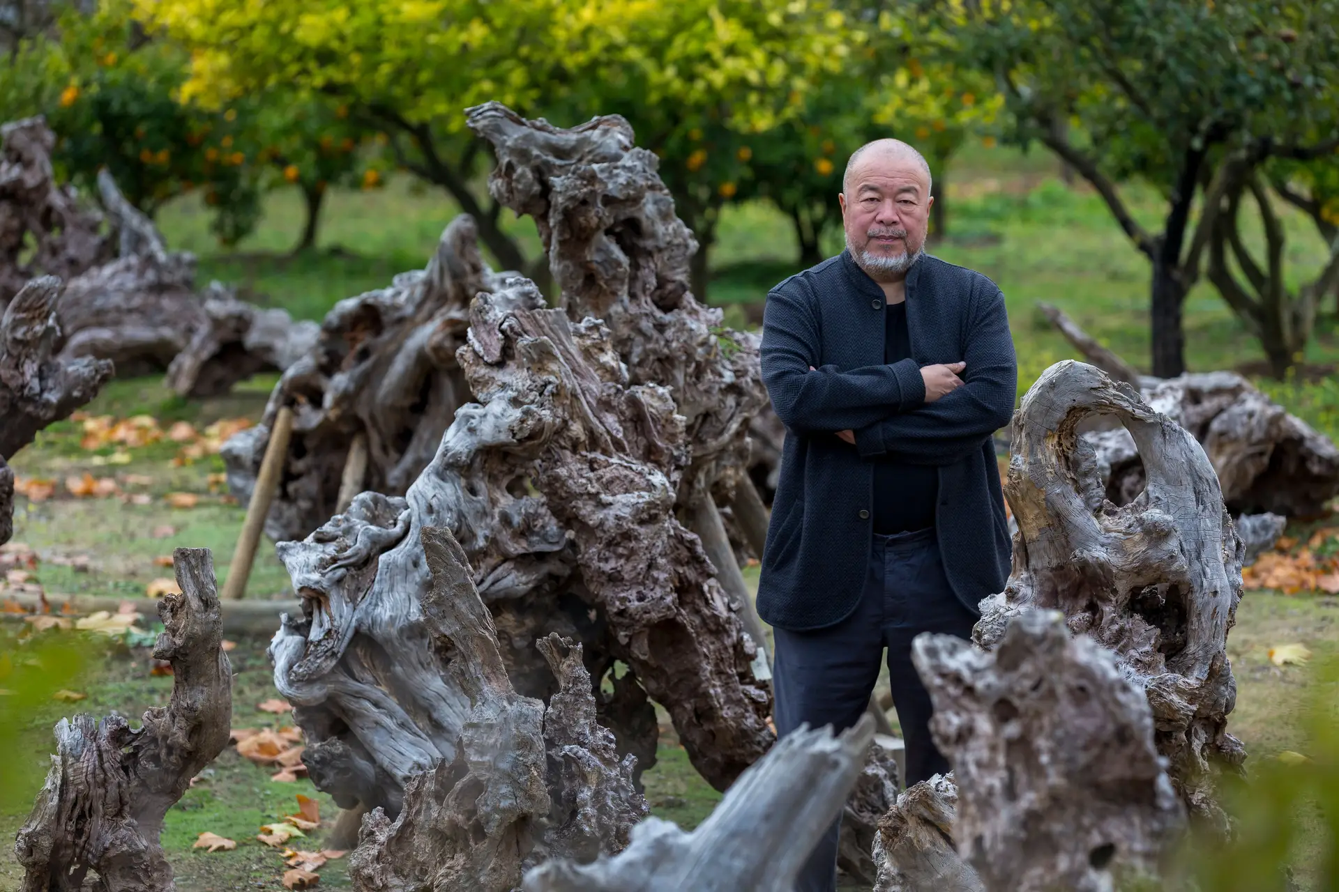 Ai Weiwei convida a mostrar o dedo do meio em qualquer parte do mundo