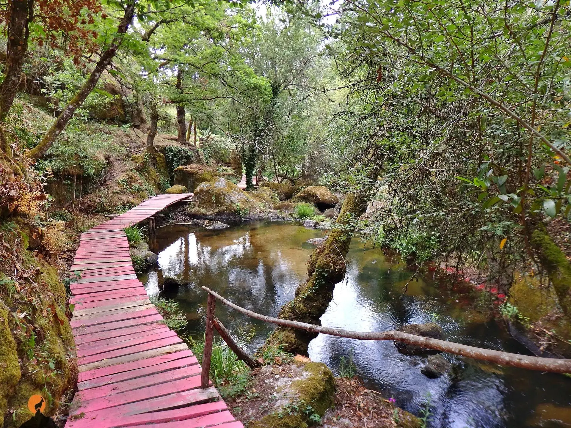 Com a serra da Estrela no horizonte, uma viagem de descoberta entre Tábua e Oliveira do Hospital