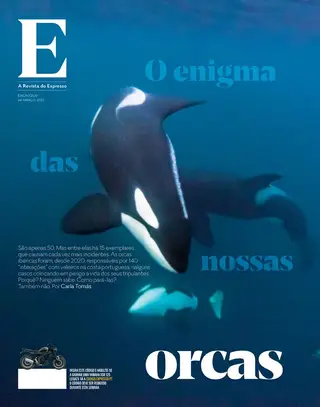 Revista E