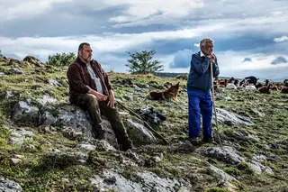 Cinema: em “As Bestas”, a 'maldade' vem da existência de um casal de franceses que se instala numa localidade galega
