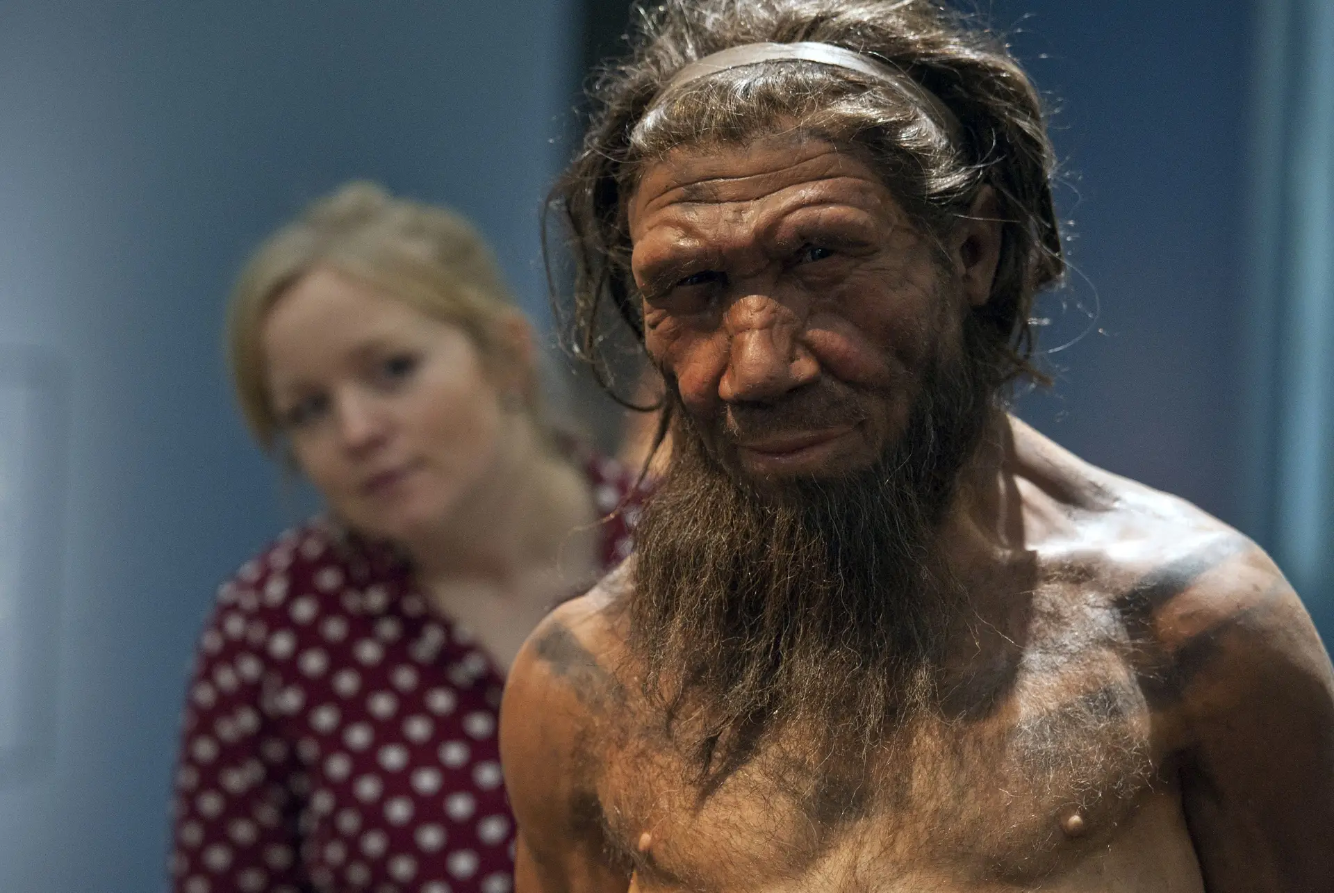 Neandertais em Portugal comiam sapateira na brasa há 90 mil anos: “Não eram tão burros quanto isso”