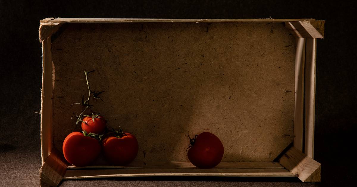 Diário num país sem tomates: retrato de um Reino Unido de prateleiras vazias