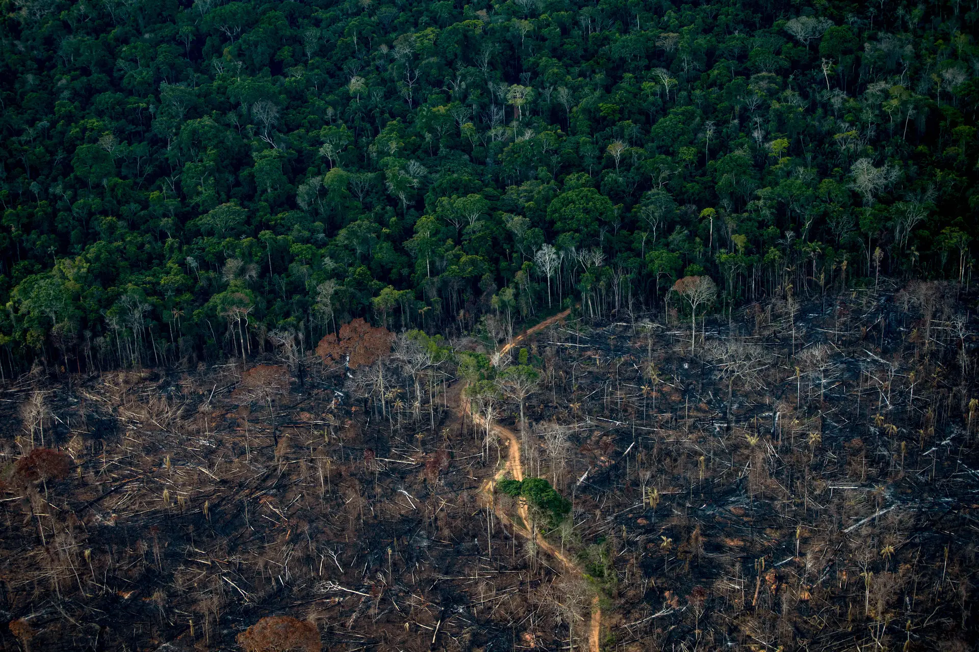 Área desmatada da floresta tropical amazónica em Lábrea, no estado brasileiro do Amazonas. 15 de setembro de 2021
