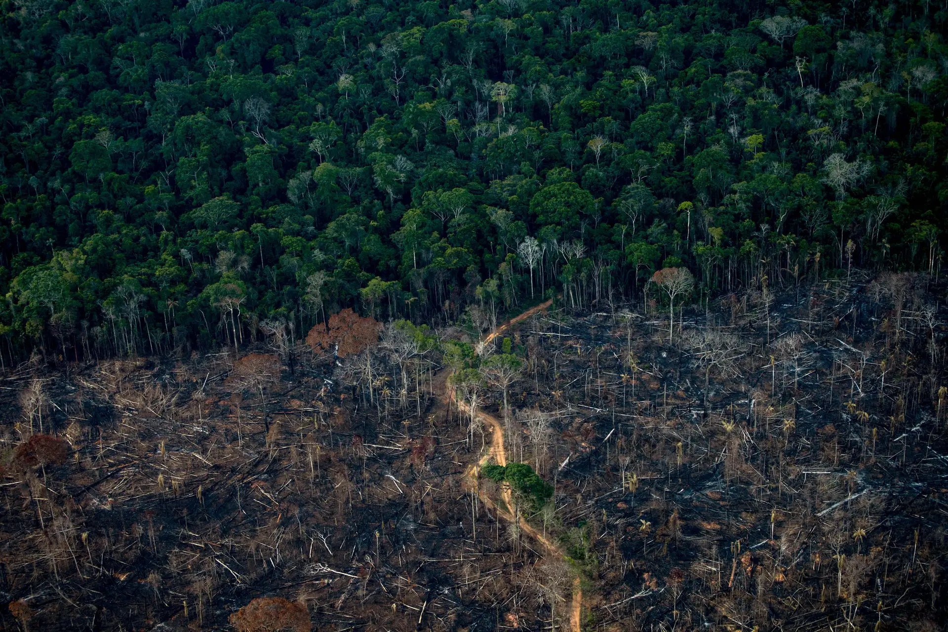 Área desmatada da floresta tropical amazónica em Lábrea, no estado brasileiro do Amazonas. 15 de setembro de 2021
