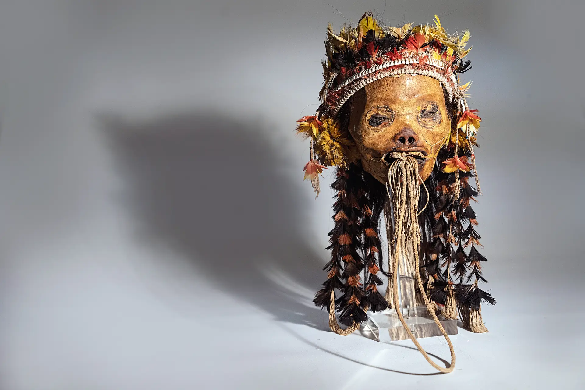 ACERVO Originária do povo munduruku, a cabeça pertence ao Museu de Arqueologia e foi depositada em Etnologia para ser restaurada e estudada