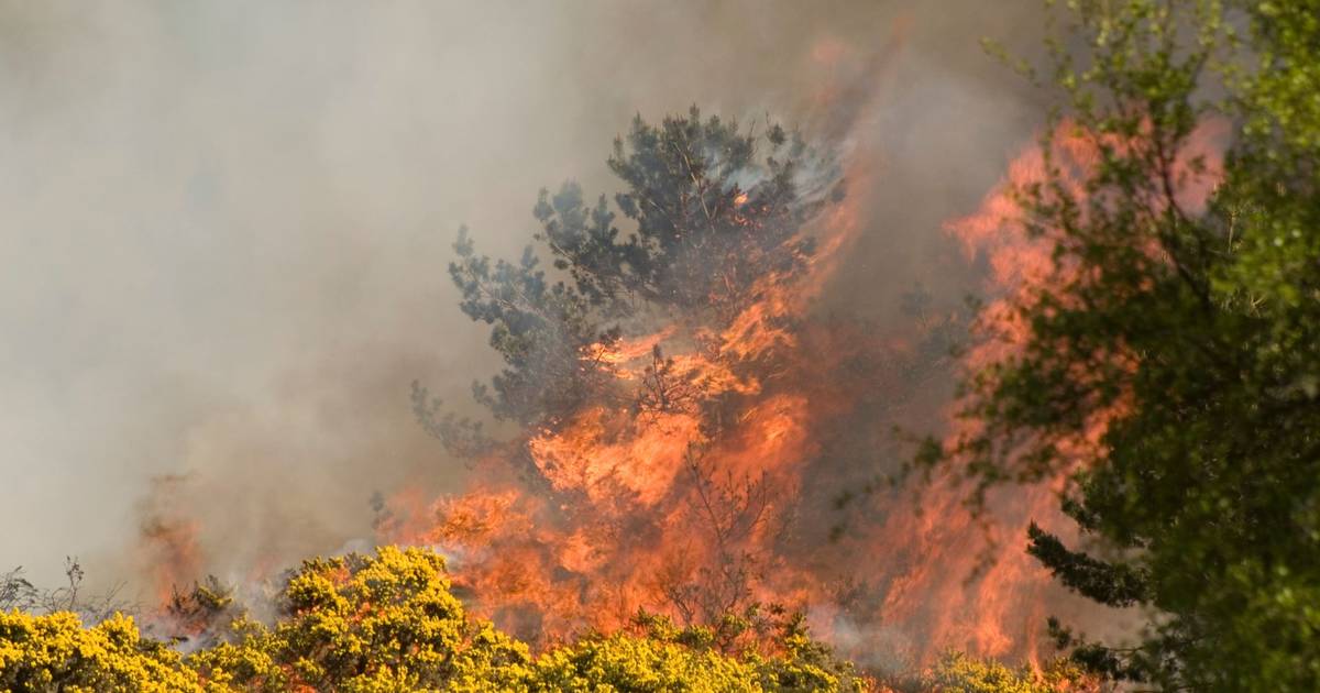 Incêndio em Lordelo no concelho de Paredes obriga a cortar A42