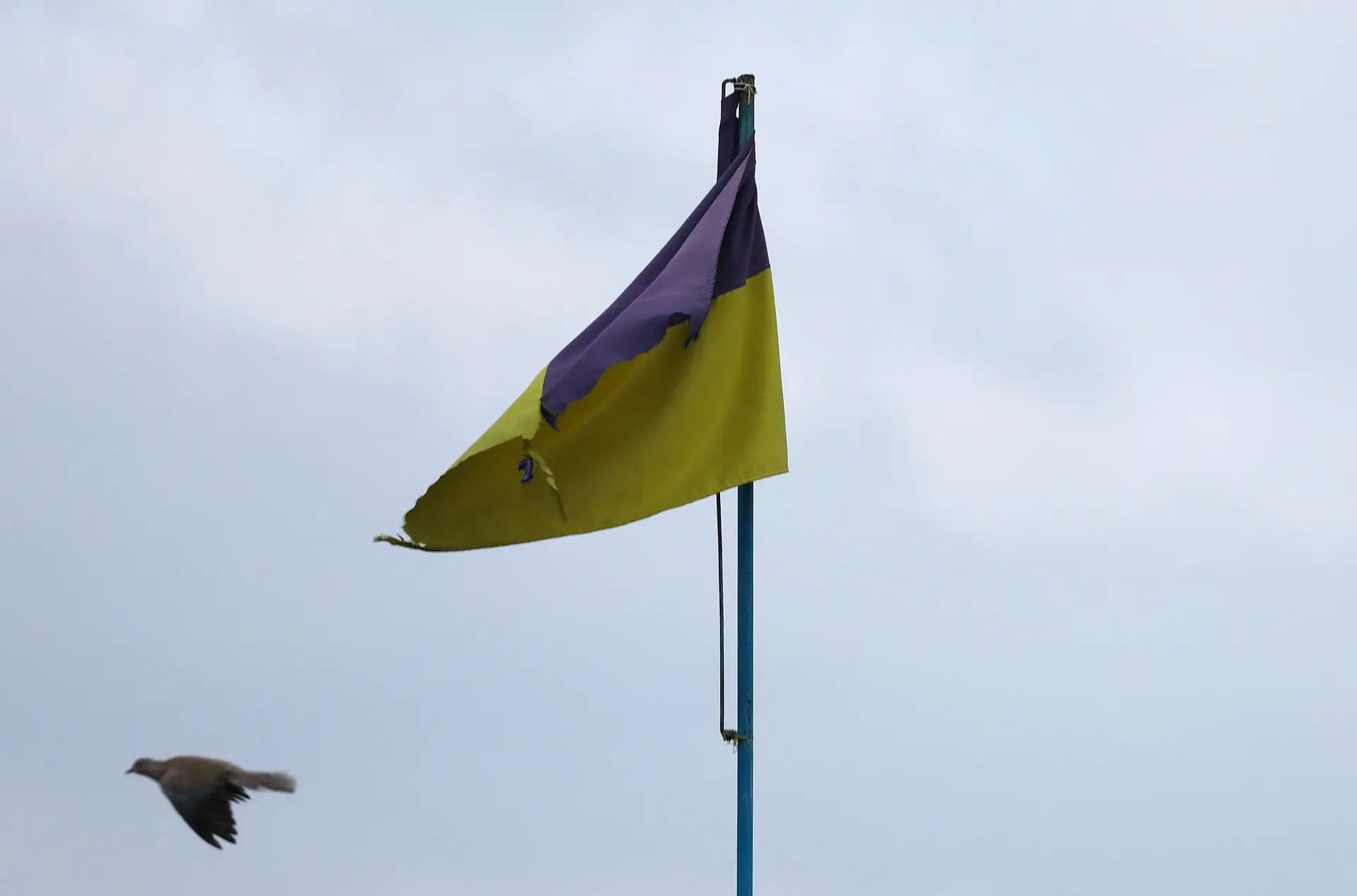 UE, ONU e França condenam com veemência alegada decapitação de prisioneiro ucraniano