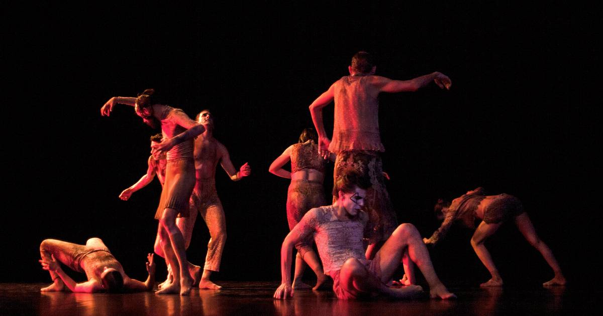 Dança: Em “Versa-Vice”, de Tânia Carvalho, tudo pode ser outra coisa