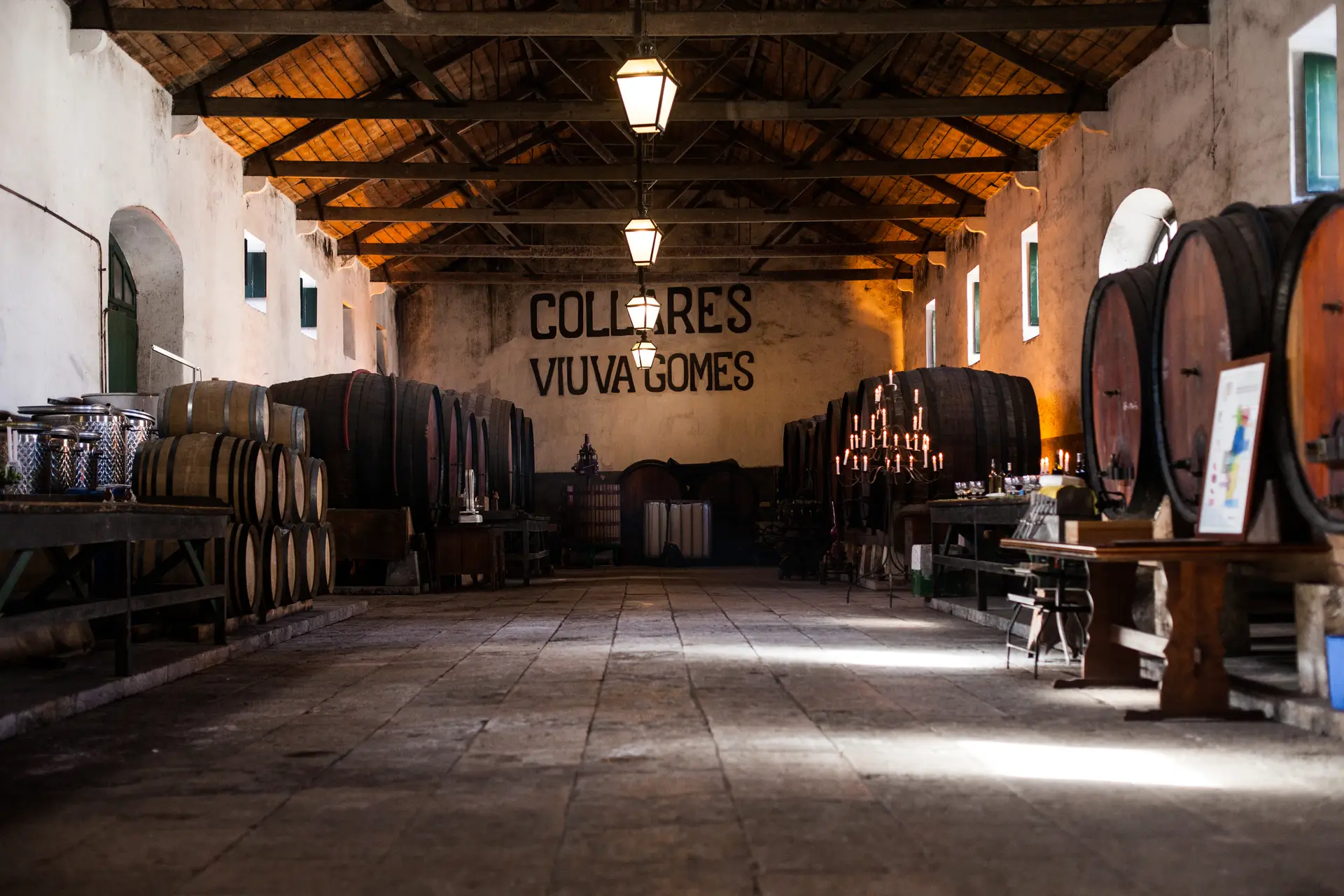 Os solos arenosos e os ares do Atlântico dão vida aos vinhos de Colares