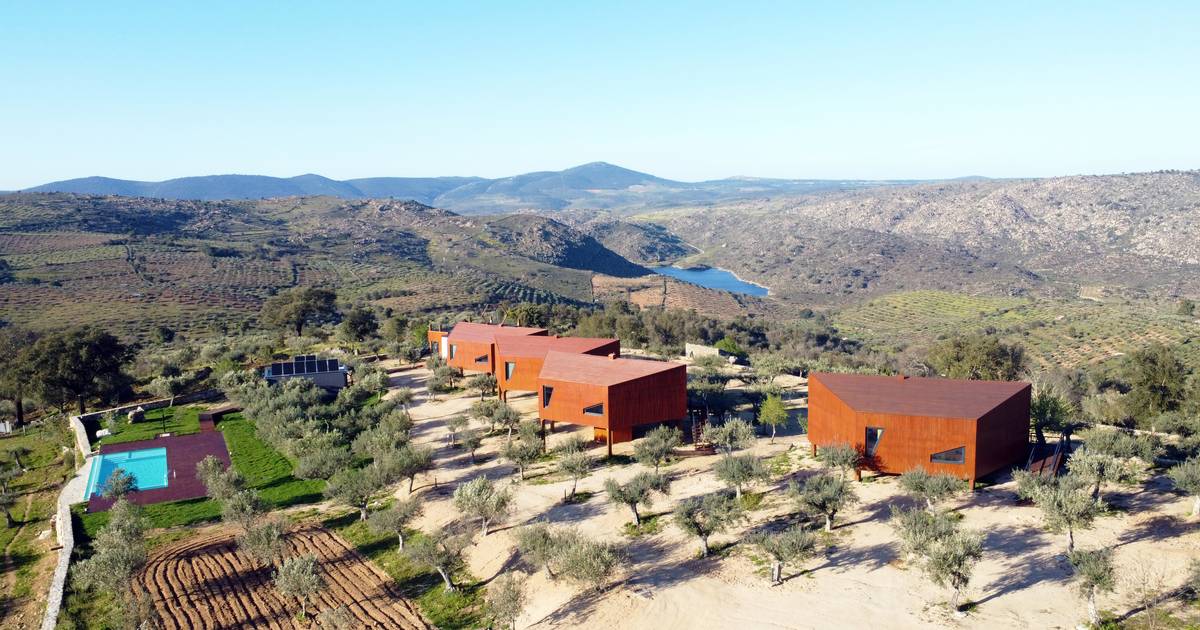 Com formato de favos de mel, estes novos bungalows panorâmicos convidam a descobrir Pinhel