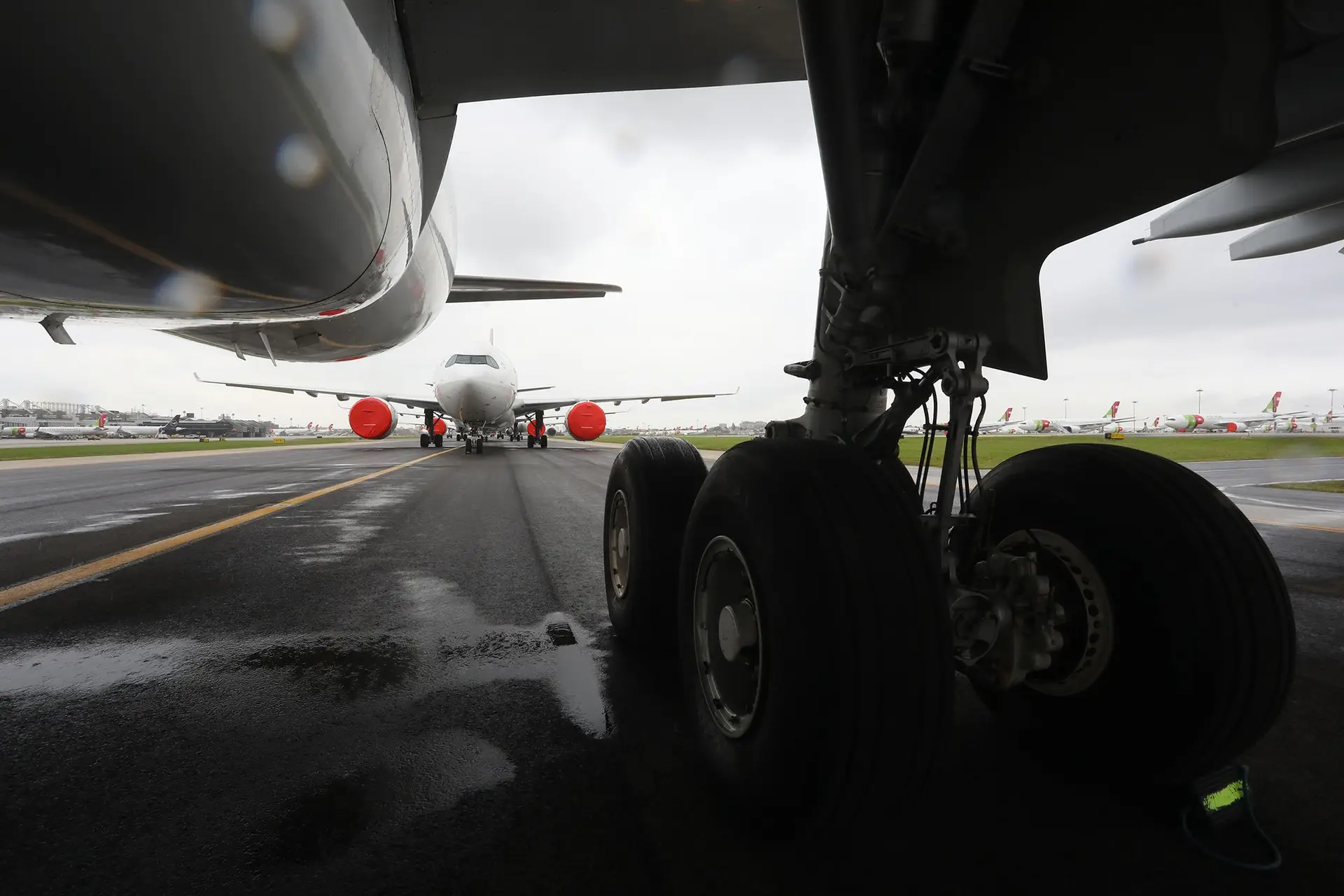 Chanceler alemão defende que TAP e Lufthansa complementam-se
