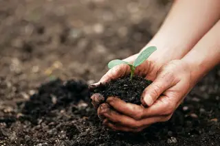 Contra uma "agenda de mais construção”, ambientalistas lançam manifesto em defesa da reserva agrícola nacional
