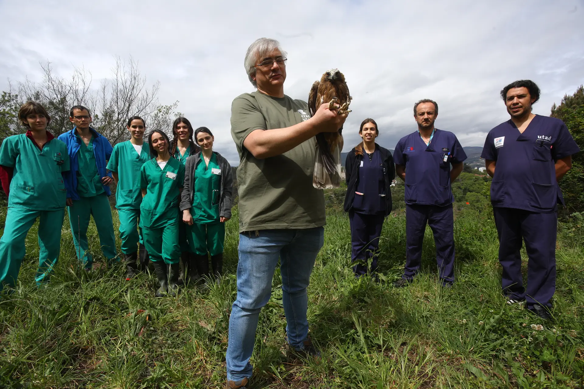 O dia em que uma águia-calçada voltou a voar com implantes de penas novas