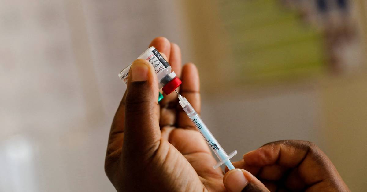 Investigadores demonstram eficácia de combinação entre vacina e medicamento contra a malária