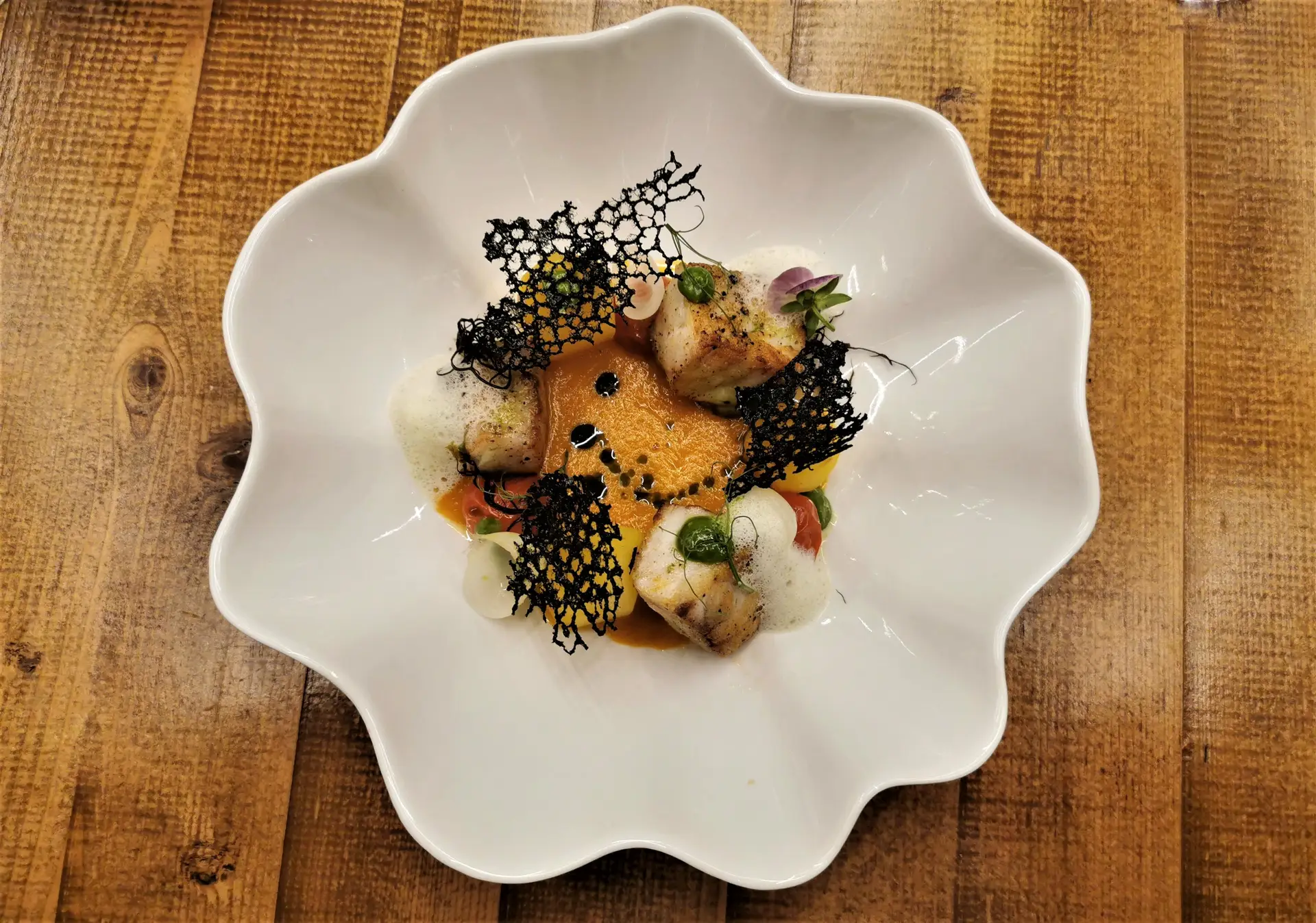 Das tabernas à cozinha de autor, oito restaurantes para descobrir Coimbra à mesa