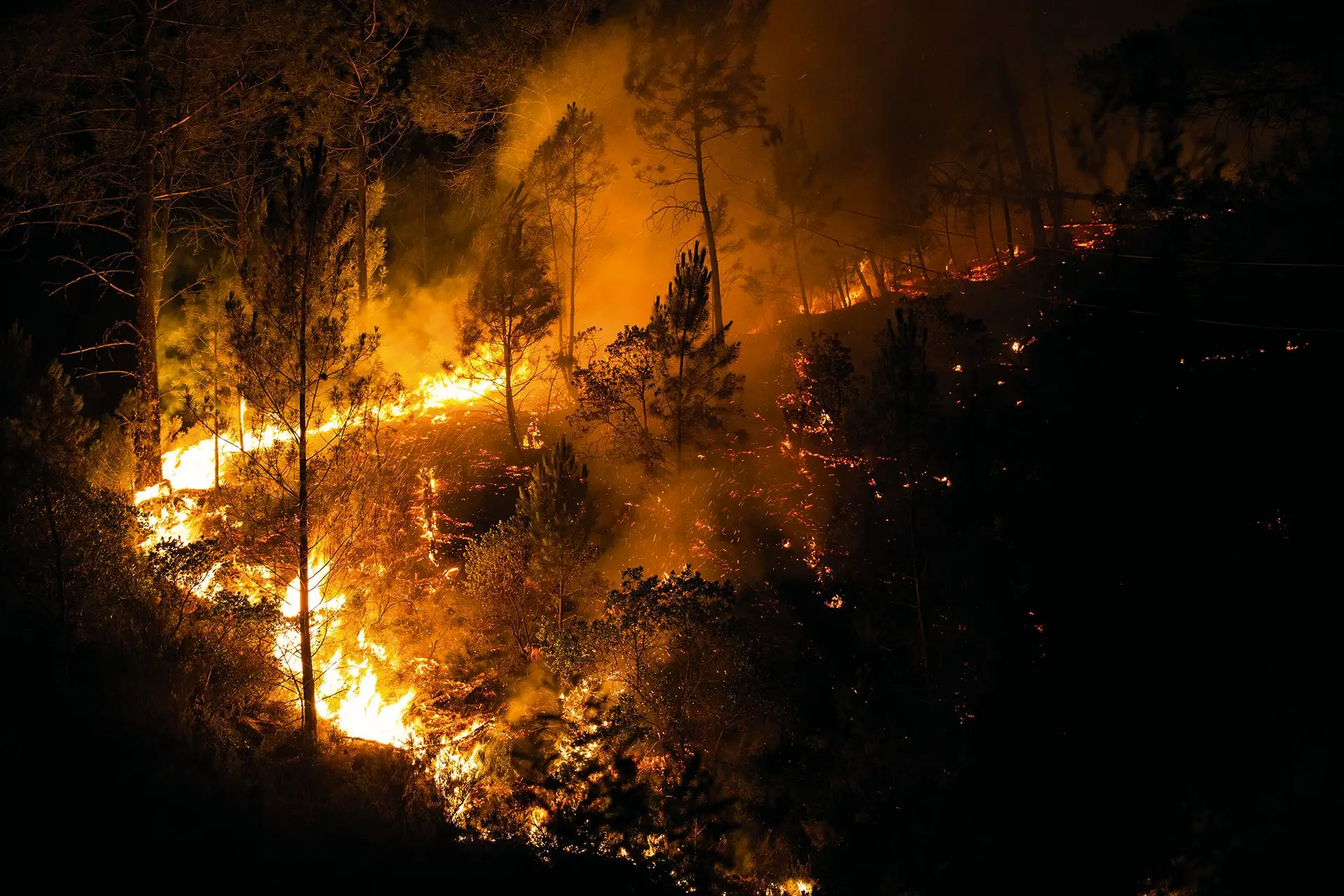 “O fogo era um amigo, agora é o pior inimigo e se não o levarmos a sério vai destruir-nos”