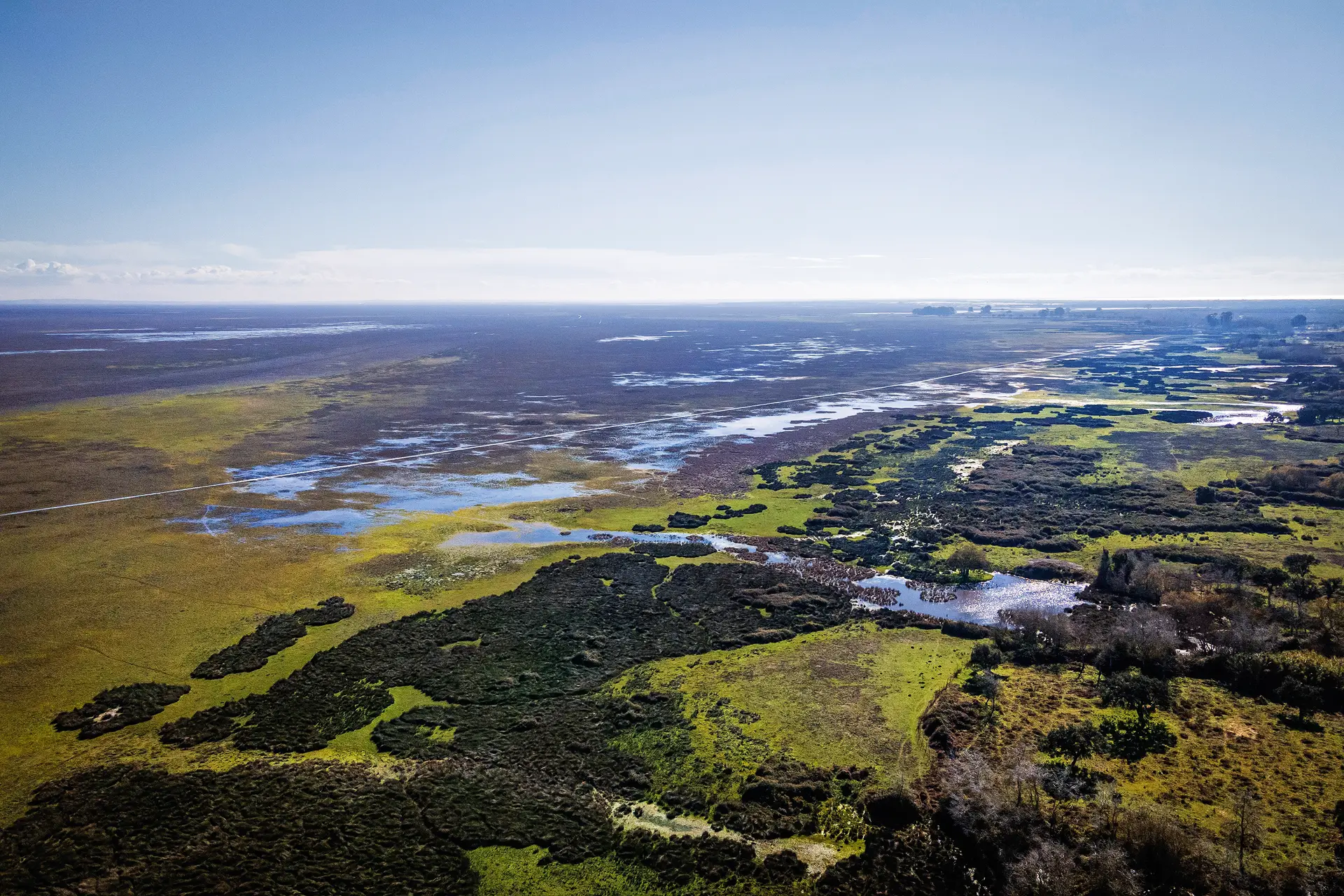 Vista aérea de pântanos secos no parque natural de Doñana, na província andaluza de Huelva