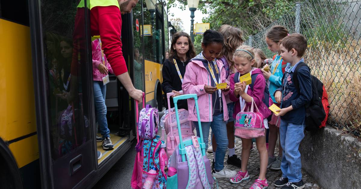 De carro, a pé, de transportes ou de bicicleta: concelho a concelho, saiba como as crianças vão para a escola em Portugal