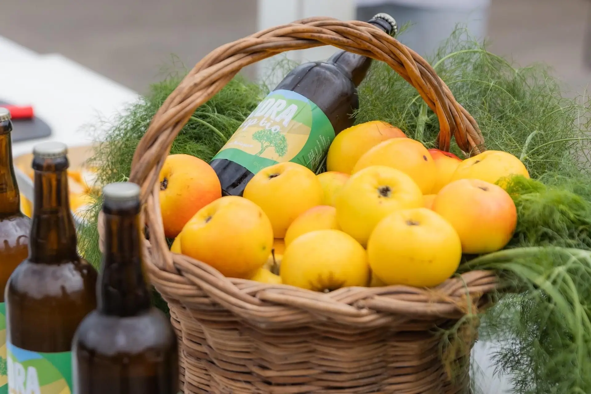 De acidez vibrante, cores e aromas variados, a Sidra da Madeira está viva e recomenda-se