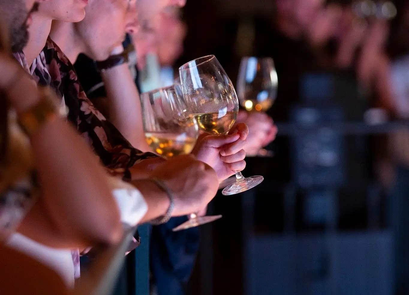 Em festa com entrada livre, Torres Vedras celebra vinhos e gastronomia