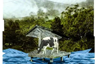 Portugal na Bienal de Arquitetura de Veneza: a água que tudo constrói