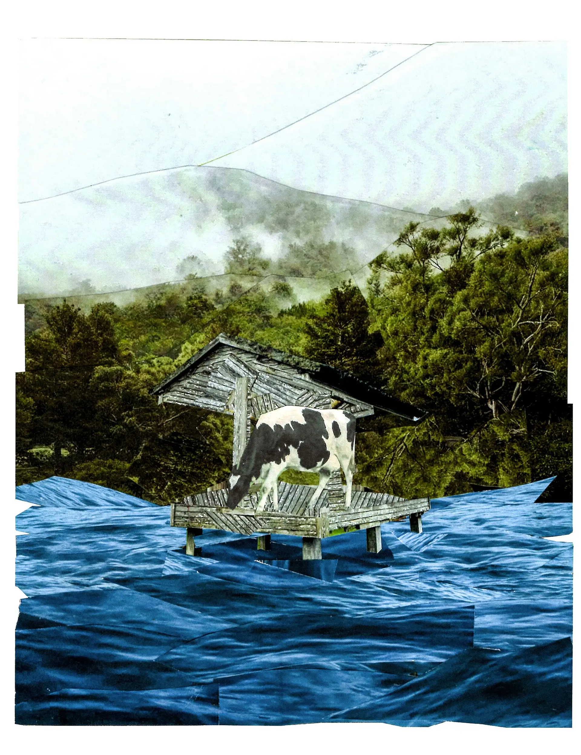 O Ilhéu Atelier trabalha soluções para a Lagoa das Sete Cidades, onde a atividade agropecuária tem provocado degradação dos solos