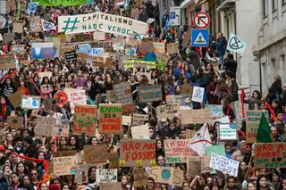 Conselho da Europa reconhece direito a ambiente limpo, saudável e sustentável como direito humano