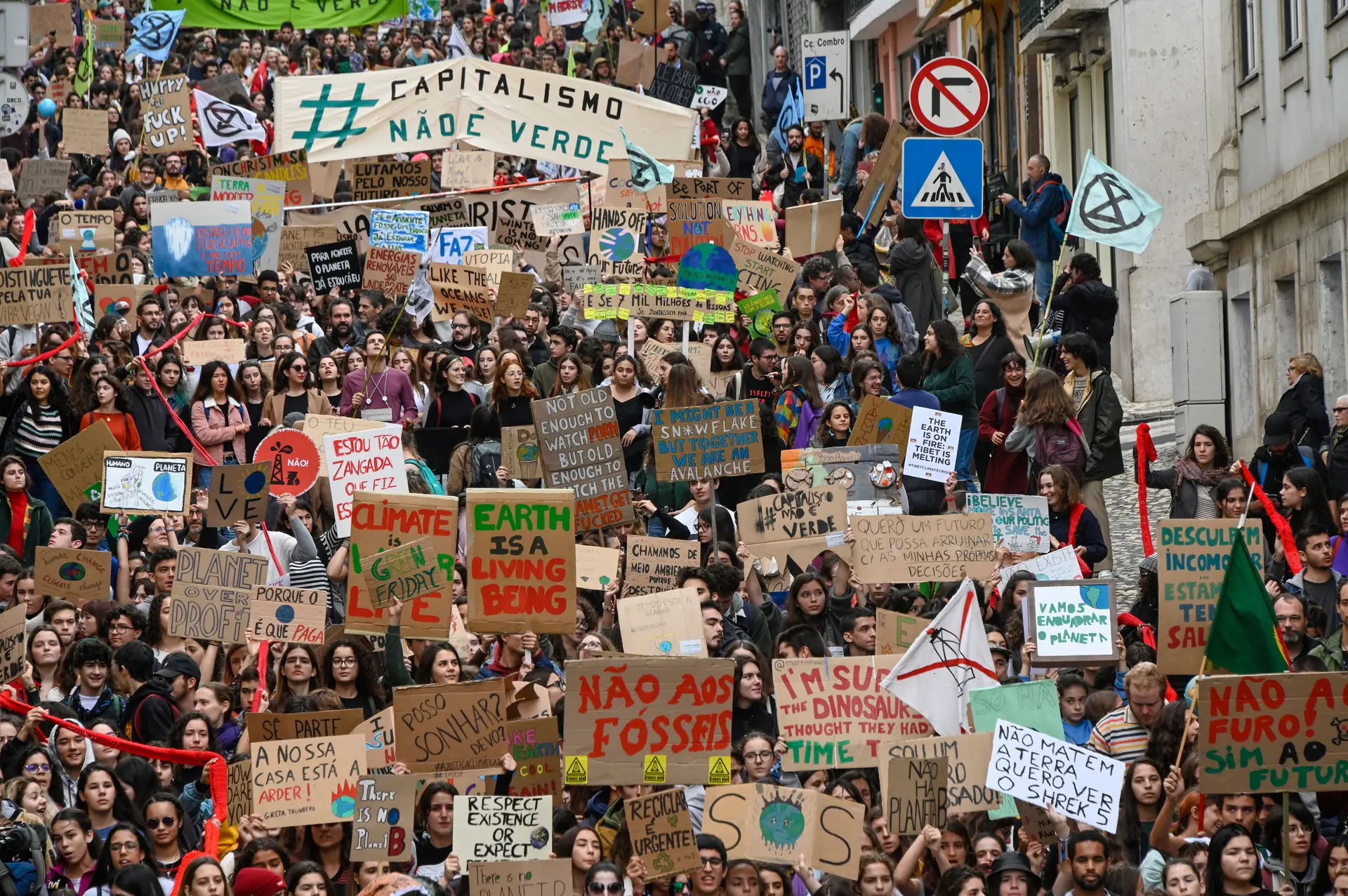 Conselho da Europa reconhece direito a ambiente limpo, saudável e sustentável como direito humano