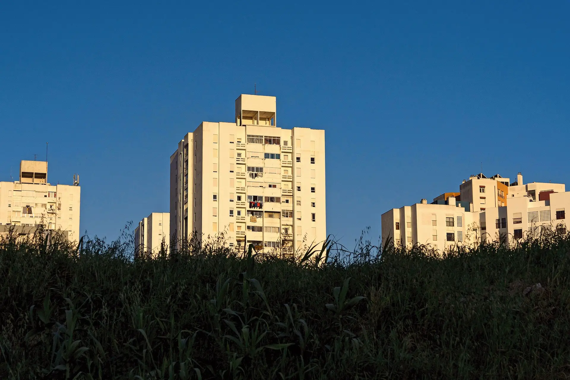 Sociedades de Gestão e Investimento Imobiliário não vingaram em Portugal