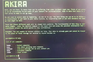 Cibercriminosos Akira estão a distribuir dados pessoais obtidos em ataque ao Politécnico de Leiria