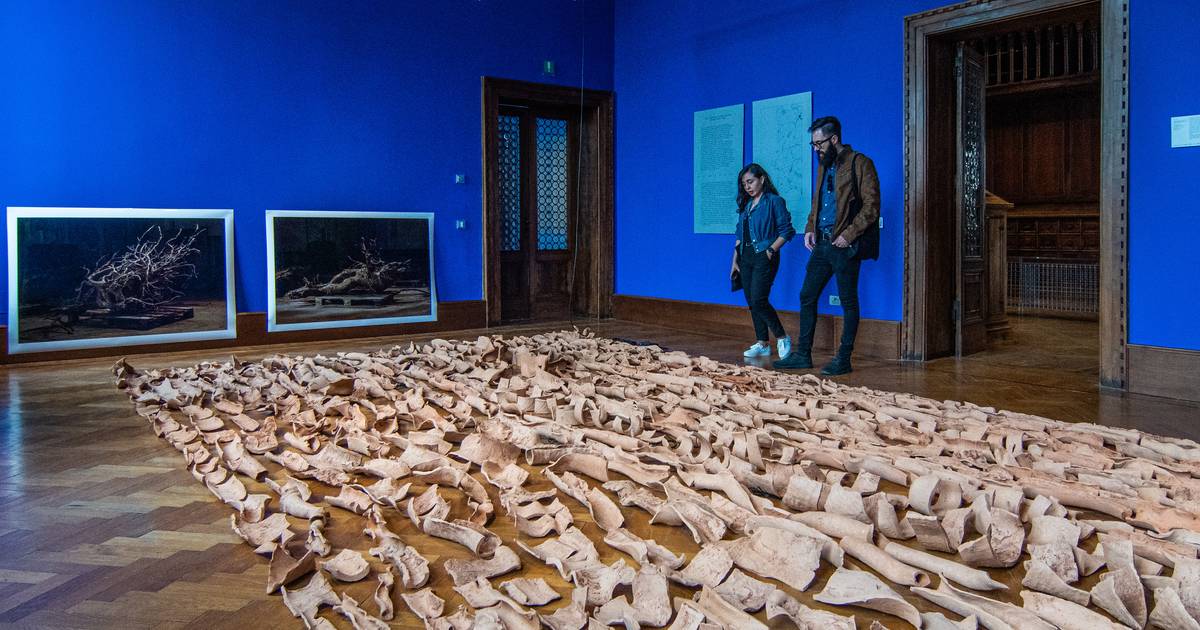 Pavilhão de Portugal na Bienal de Veneza de arquitetura já teve mais de 2.500 visitantes