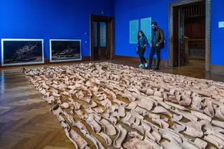 Perto do desastre e antes do caos: Portugal na Bienal de Arquitetura de Veneza