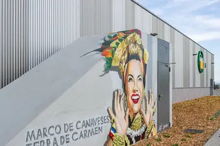 Mercadona inaugura 40ª loja em Portugal com Carmen Miranda