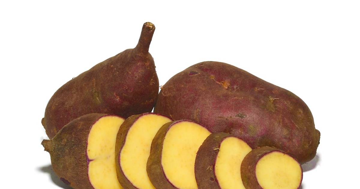 Doce, macia e pouco fibrosa, a Batata-Doce faz parte da lenda da conquista de Aljezur