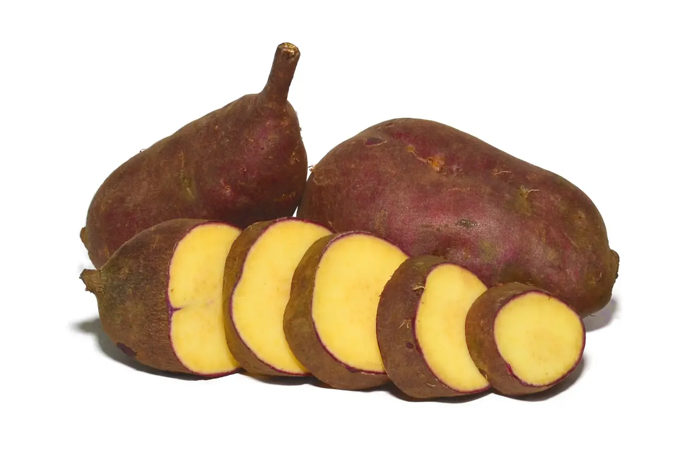 Doce, macia e pouco fibrosa, a batata-doce faz parte da lenda da conquista de Aljezur