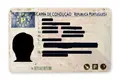 Condutores de TVDE com cartas falsas por €200