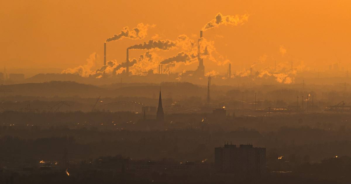 É a natureza, estúpido! Reflexões sobre a COP16 e (ainda) o relatório Draghi