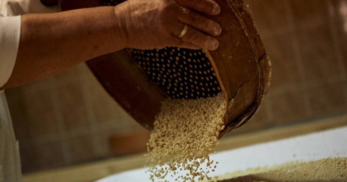 Da farinha de trigo ainda se fazem cuscos transmontanos