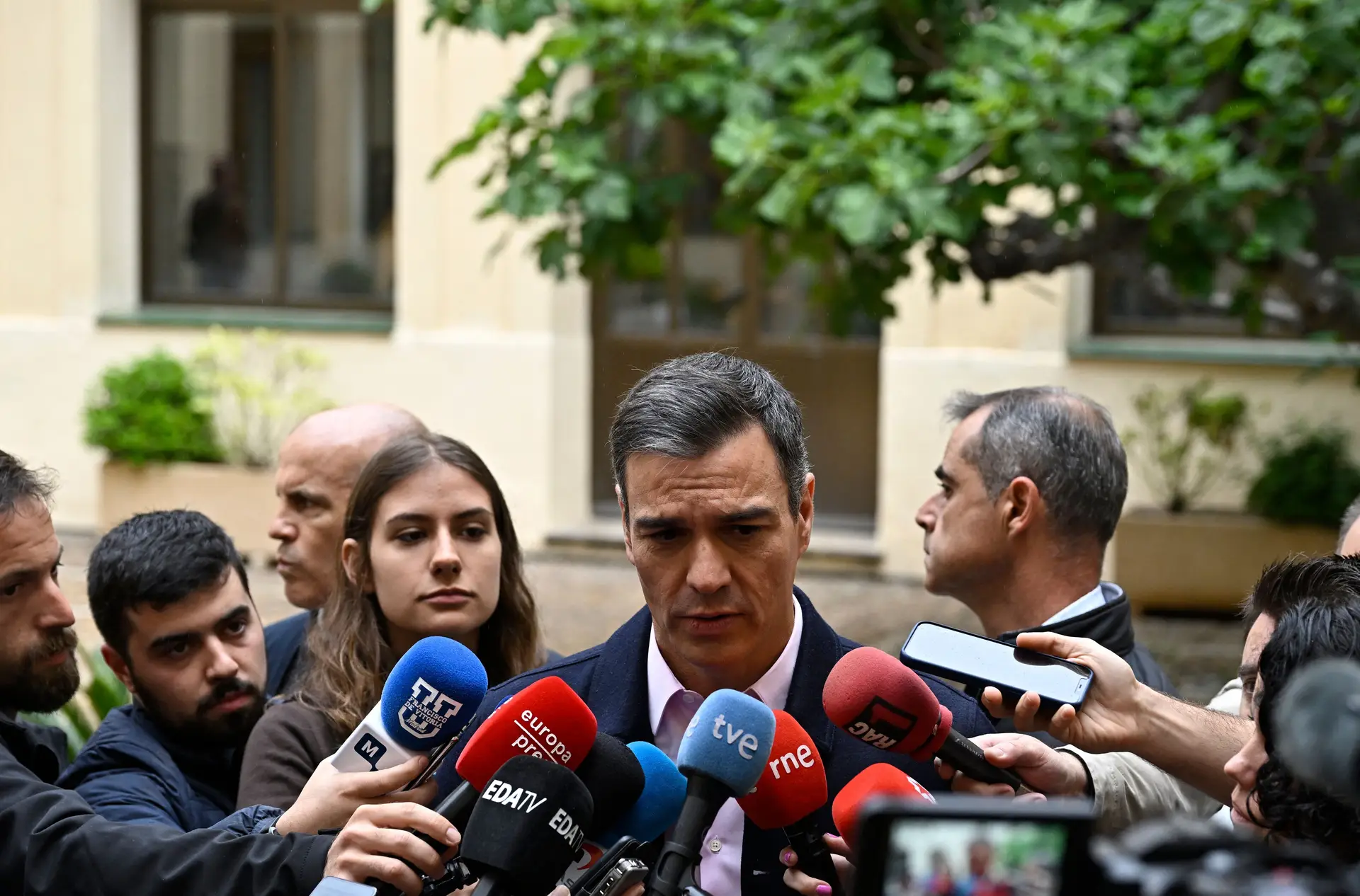 Pedro Sánchez 