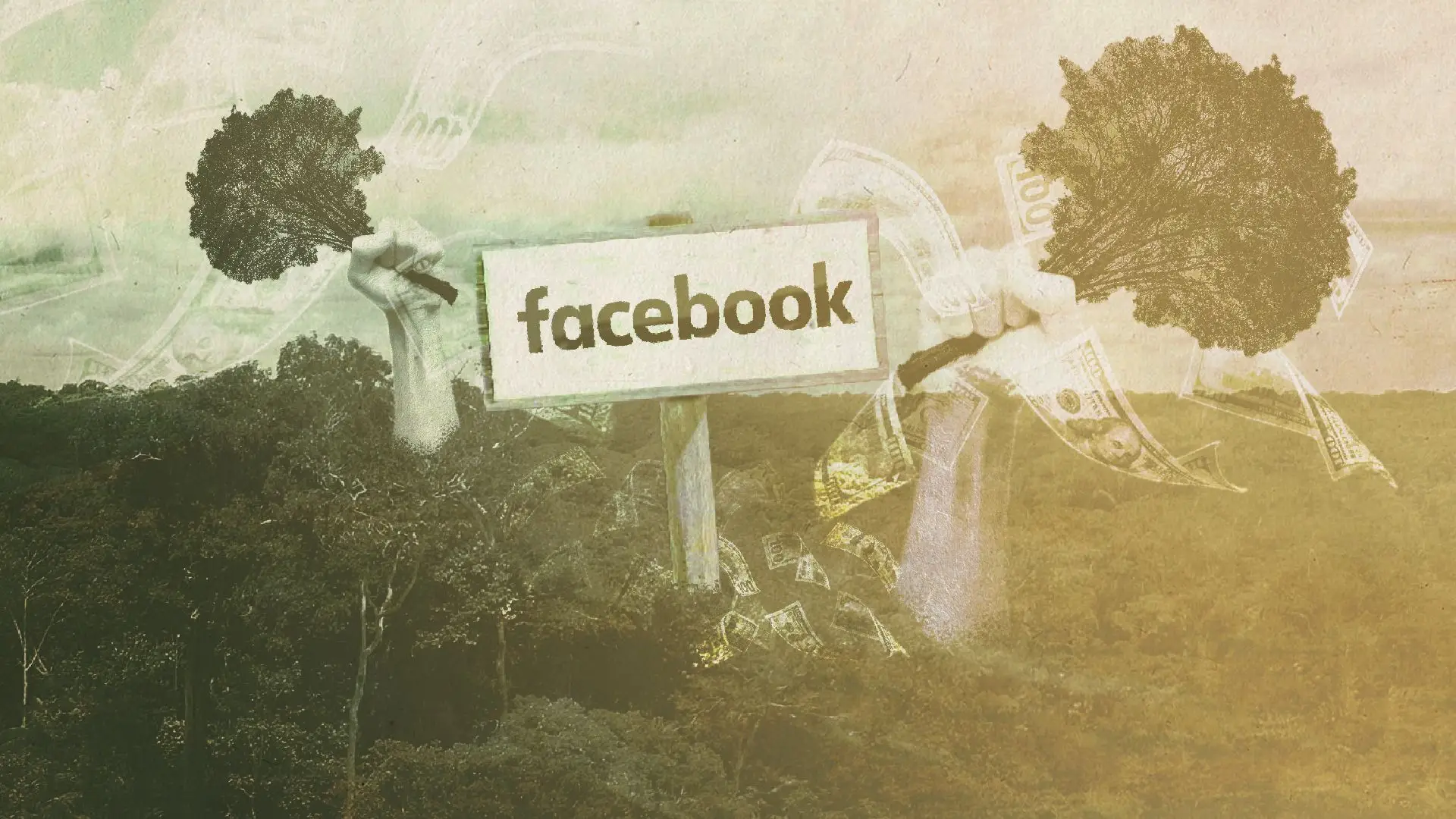 No Brasil, a Amazónia está à venda no Facebook