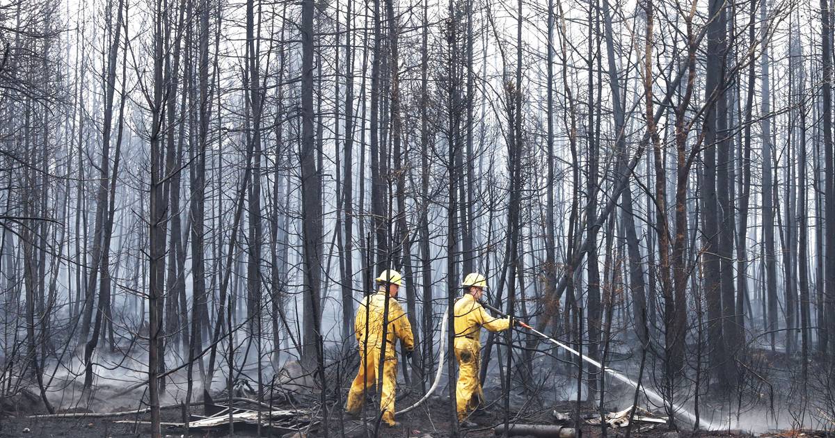 Canadá retira pessoas, recebe apoio externo e acusa rutura climática pelos fogos