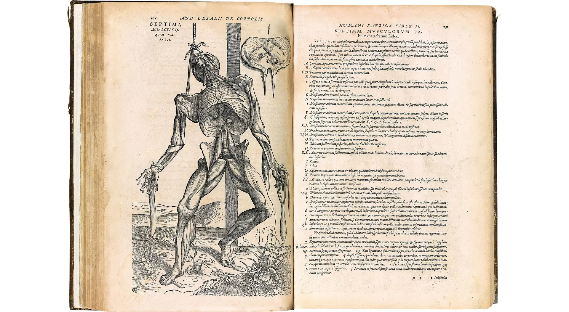 Corpo Em “De humani corporis fabrica”, Vesálio revelou-se um excelente escritor, capaz de envolver o leitor