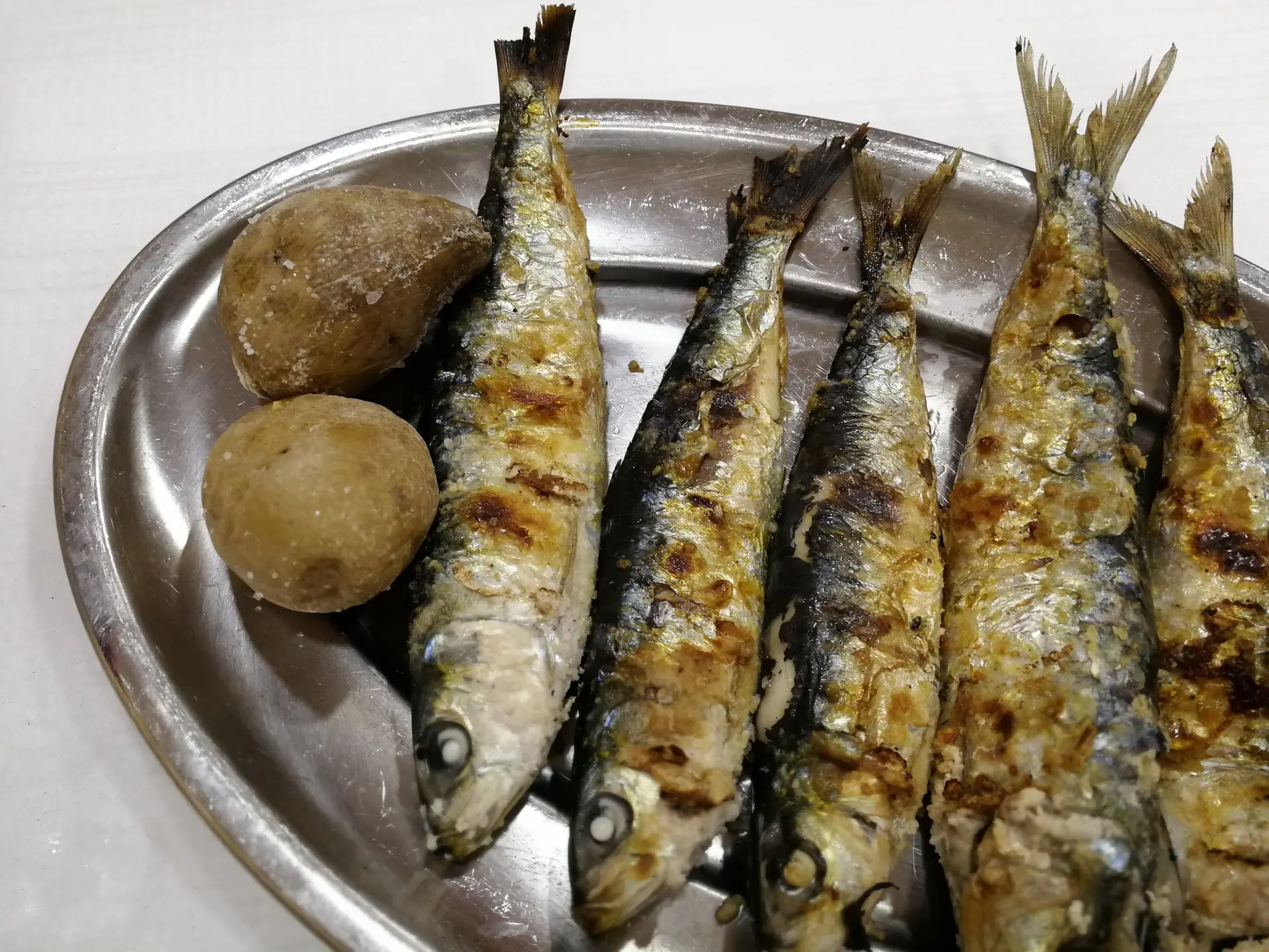 De Carnide à Madragoa, nestes restaurantes serve-se a melhor sardinha assada de Lisboa