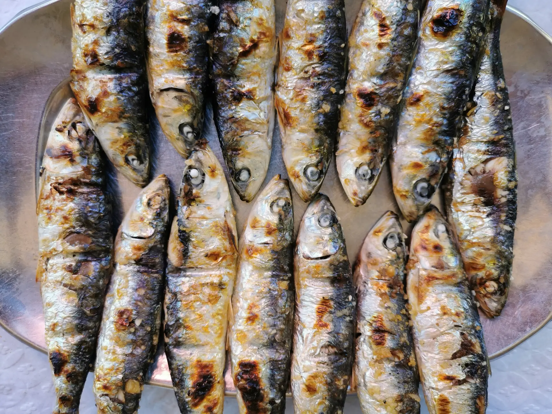 De Carnide à Madragoa, nestes restaurantes serve-se a melhor sardinha assada de Lisboa