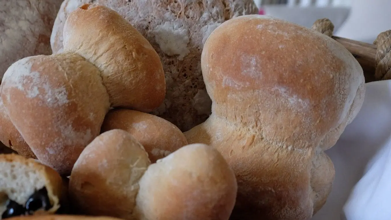 Grátis com o Expresso: Das mãos de Rosália, criada de Salazar, sai quentinho o pão de Favaios (e acompanha com moscatel)