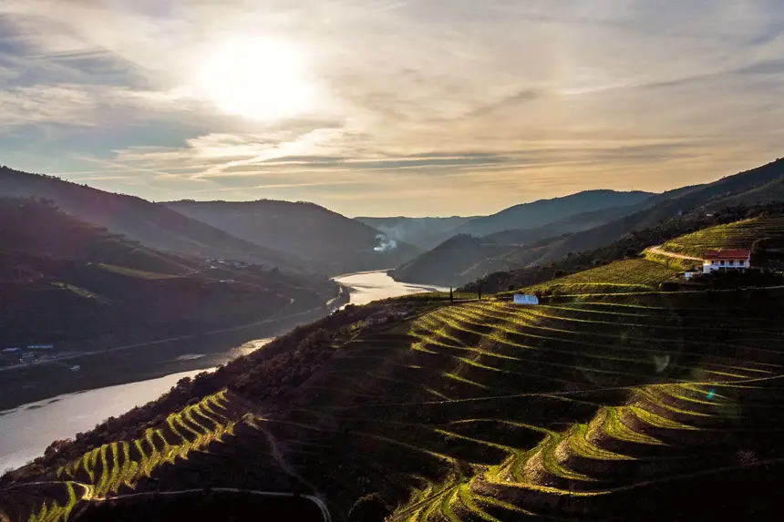 Douro with ancient history, but with new wines - World's News Now