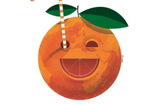 Portugal é o quarto maior produtor de laranja da UE e o Algarve vale 90% da produção nacional continental