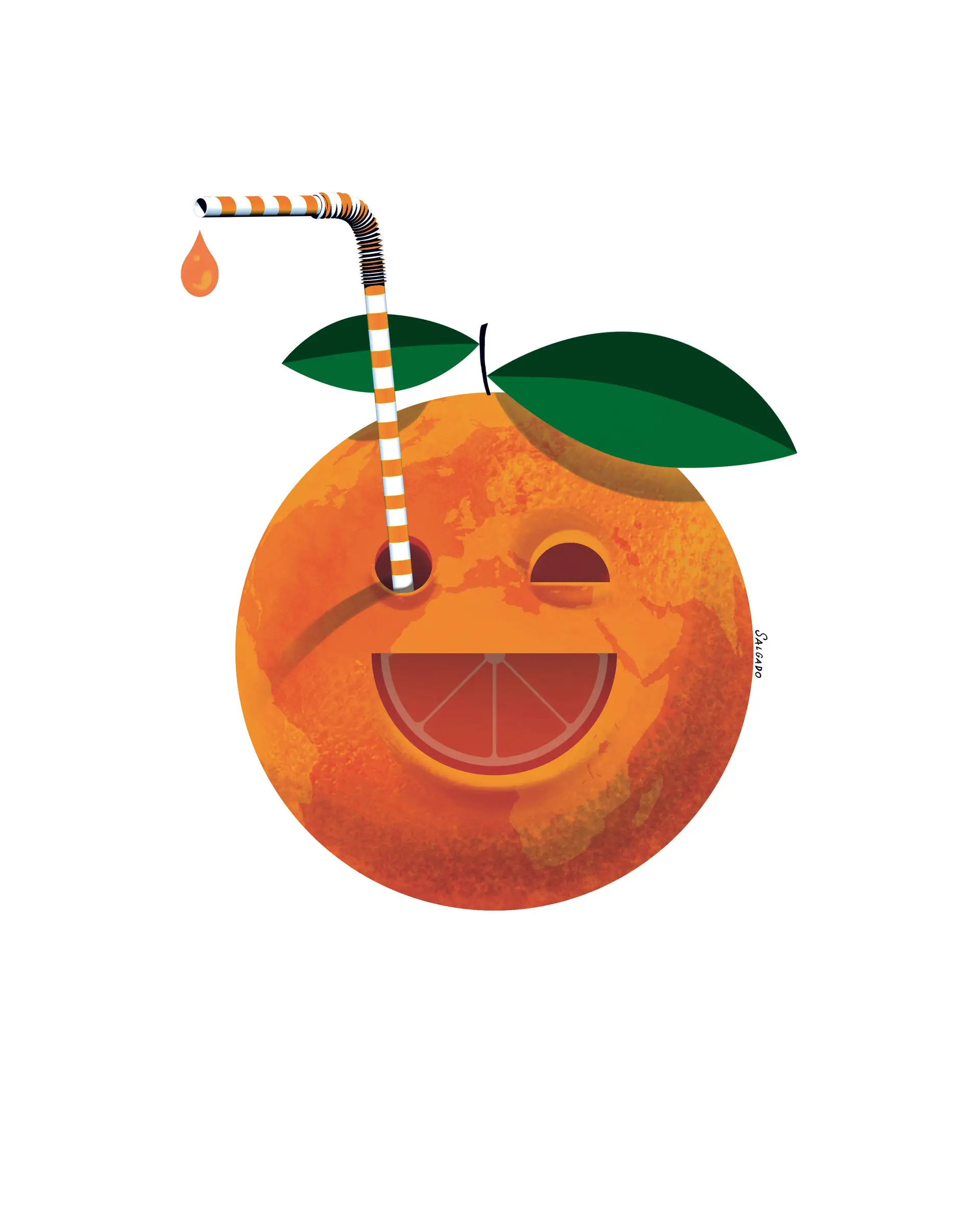 Portugal é o quarto maior produtor de laranja da UE e o Algarve vale 90% da produção nacional continental
