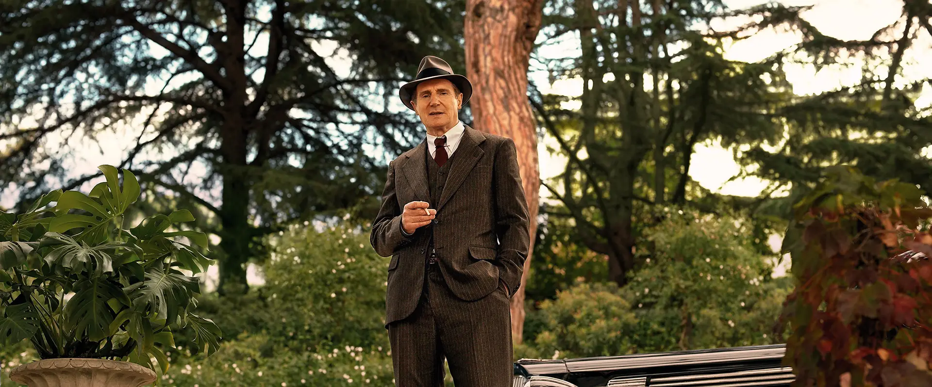 Liam Neeson encarna o septuagenário Philip Marlowe, que terá vários encontros com uma loira misteriosa