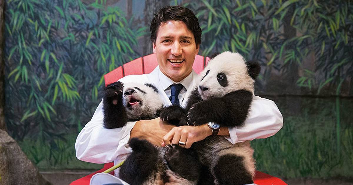 Panda, o simpático embaixador da China